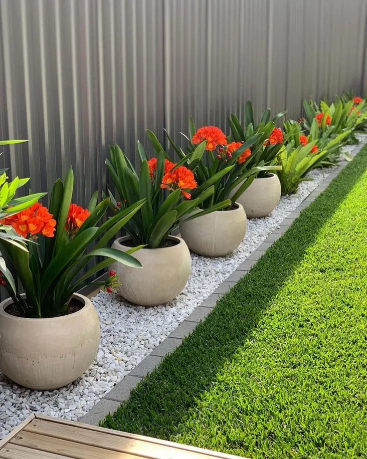 Brighten your backyard with a striking garden border of red and orange flowers in smooth ceramic pots. The combination of white pebbles and lush green grass highlights the vibrant hues, creating a clean, polished look. This design is perfect for adding structure and color to your outdoor space.