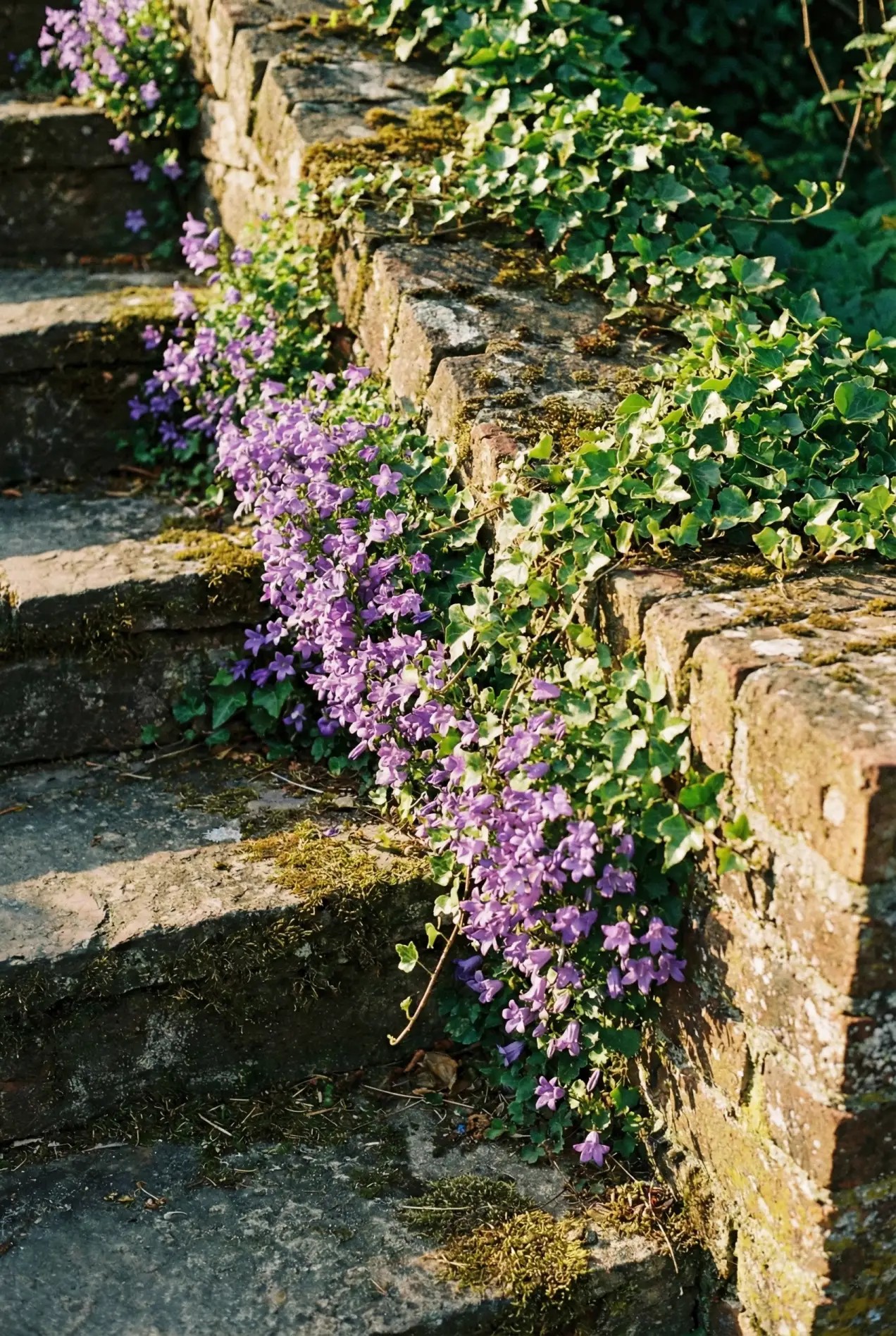 The secret to a charming front yard? Let plants spill over the edges. Best plants for pathways and retaining walls. #frontyarddesign #curbappeal