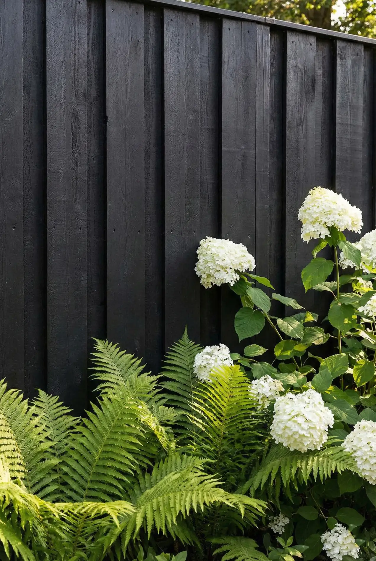 See how painting your fence black can instantly modernize your backyard and make your plants pop. #modernlandscaping #gardenhacks